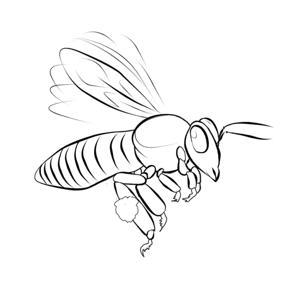 Dibujo de Abeja para colorear e imprimir gratis