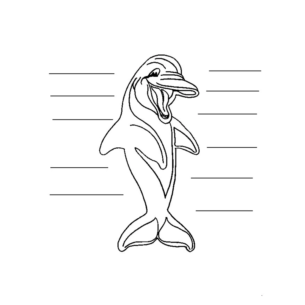 Happy Dolphin coloring page to print for free