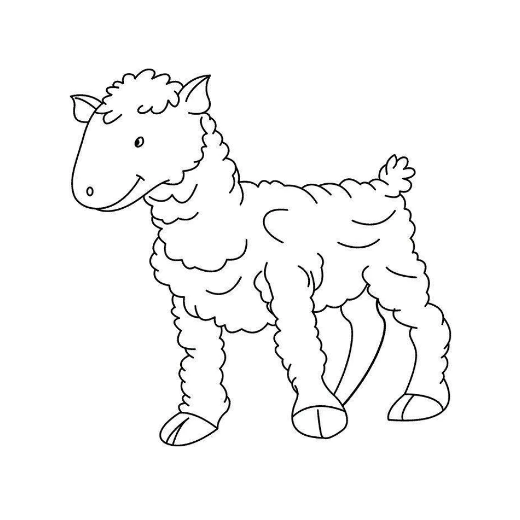 Desenho de Ovelha para colorir e imprimir grátis