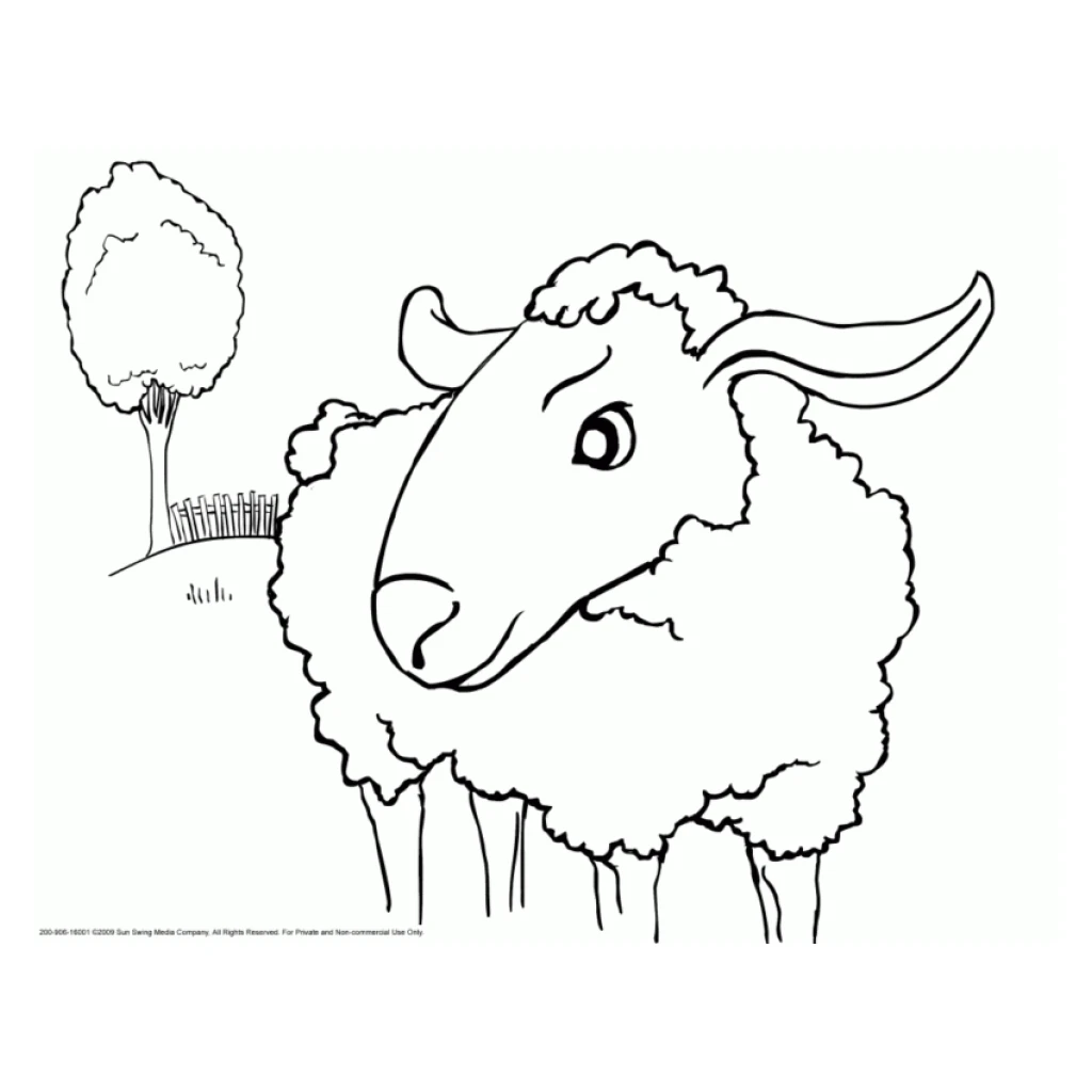 Desenho de Ovelha para colorir e imprimir grátis