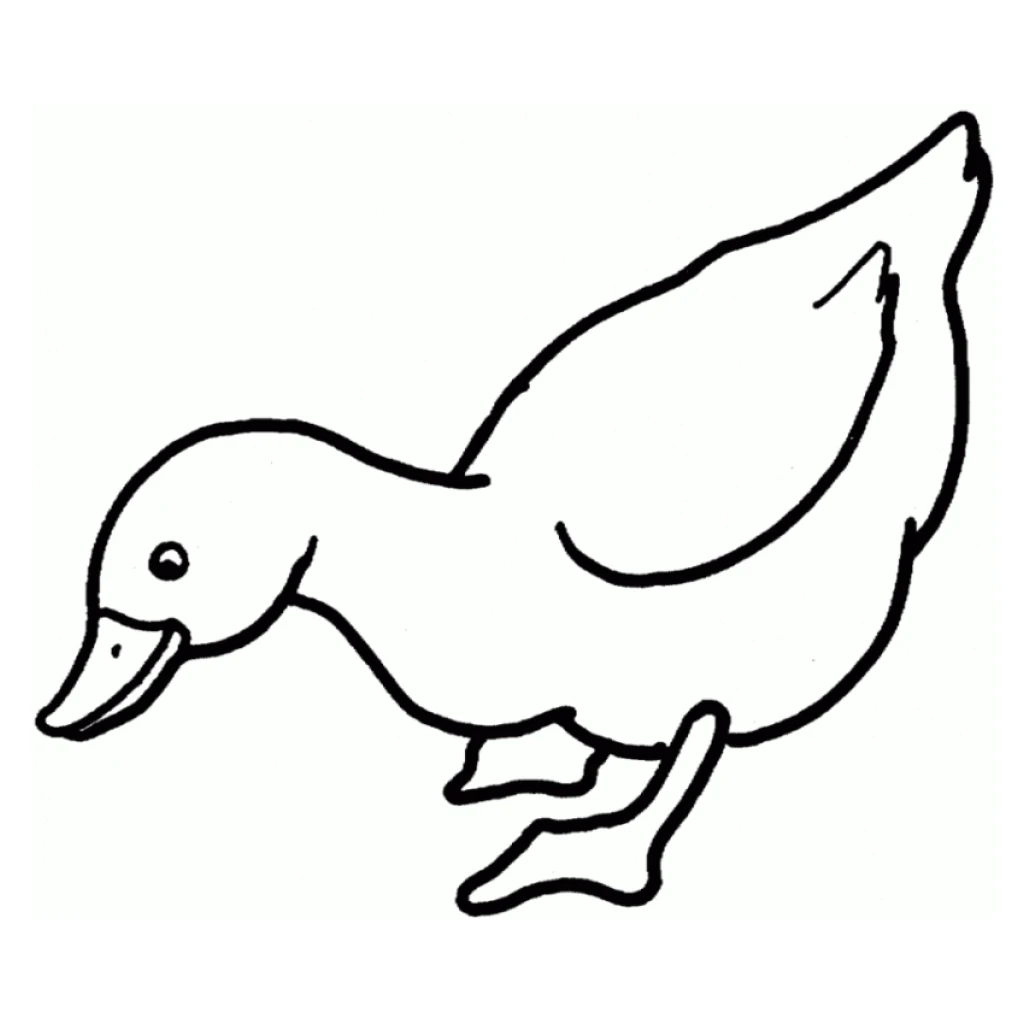 Duck coloring page to print for free