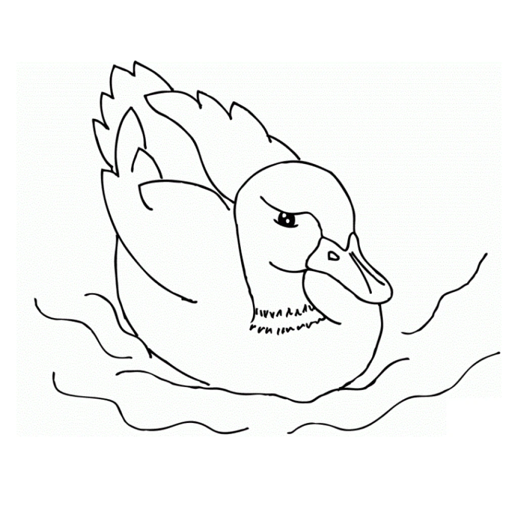 Desenho de Pato para colorir e imprimir grátis