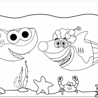 Tubarão Baby Shark