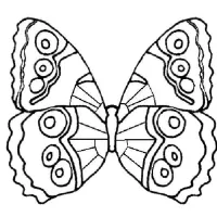 Borboleta