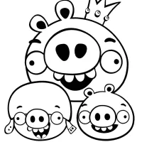 Porcos Do Angry Birds