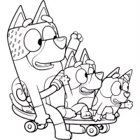 Cachorros Se Divertindo Em Um Skate
