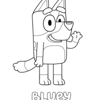 Bluey
