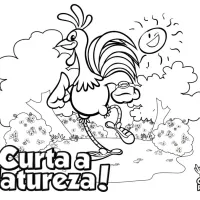 Galo Colorido Na Natureza