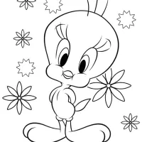 Piu Piu
